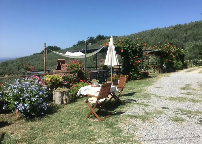 Rachele Appartement Larciano