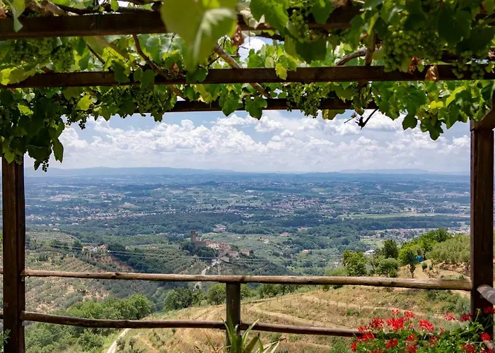 Rachele Appartement Larciano
